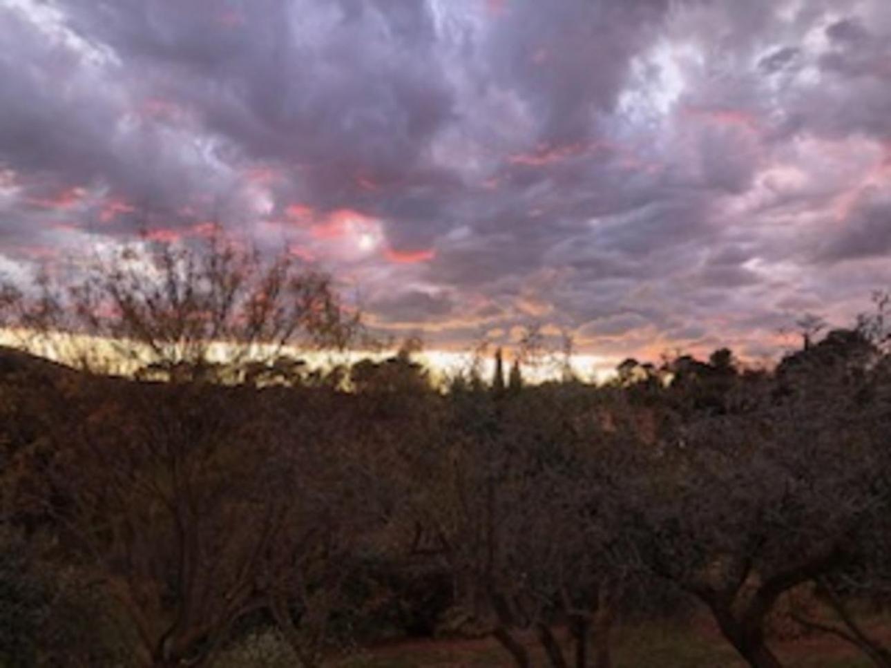 Bastide Saint Bernard Bed and Breakfast Le Thoronet Exteriör bild